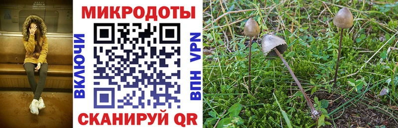 цены наркотик  Прохладный  Псилоцибиновые грибы Magic Shrooms 