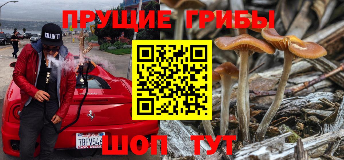 Псилоцибиновые грибы прущие грибы  Вход с VPN  Прохладный 