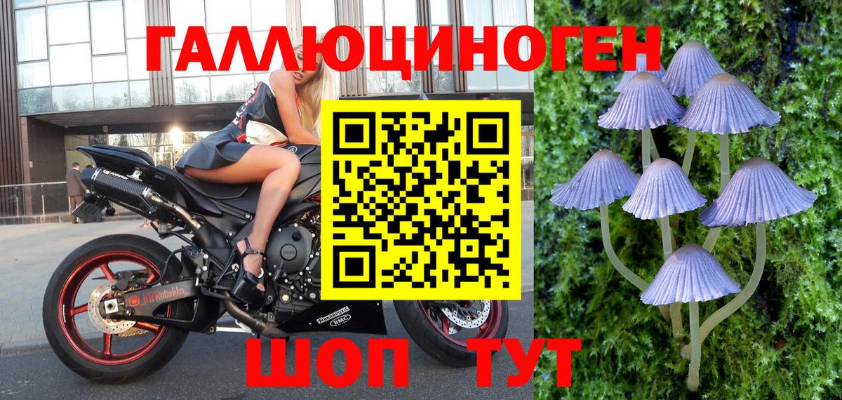 Галлюциногенные грибы GOLDEN TEACHER  Галлюциногенные грибы GOLDEN TEACHER  Прохладный 